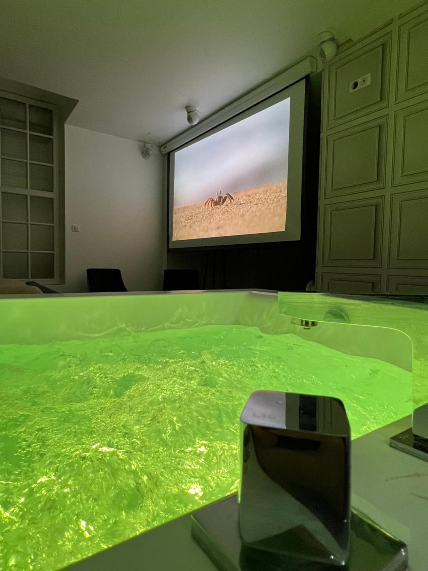Appartement Avec Jacuzzi Sauna & Home Cinema - Nid D'อองเชร์ ภายนอก รูปภาพ